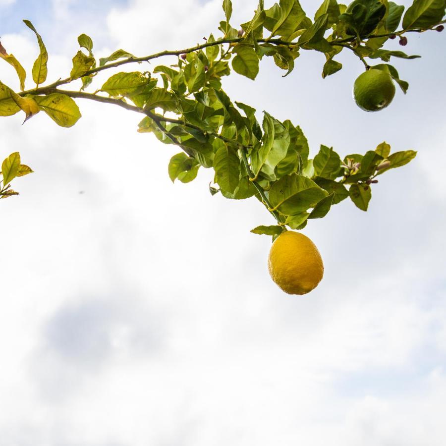 דירות Casa Laranja, Aromas בורגאו מראה חיצוני תמונה